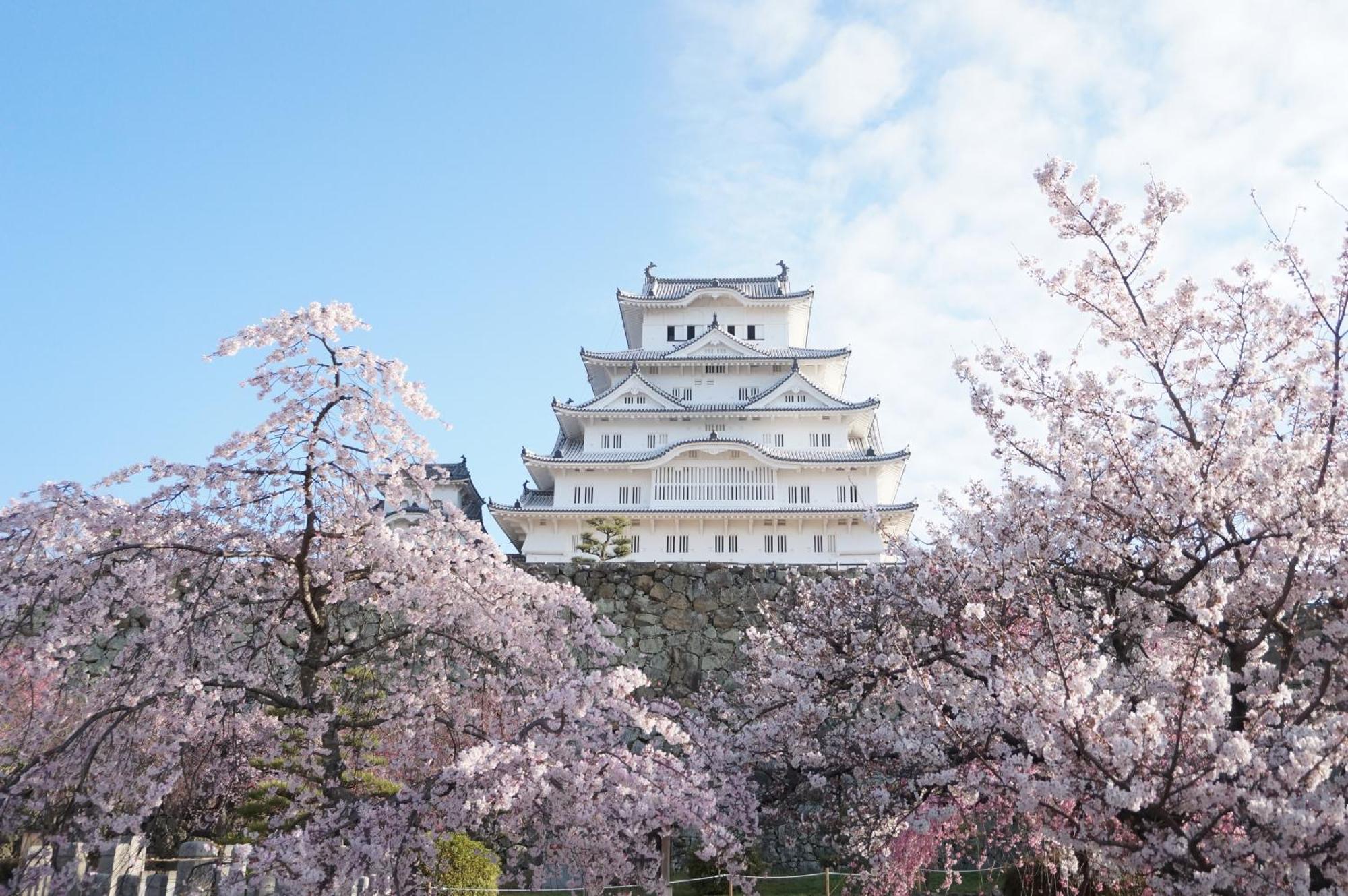 Hotel Monterey Himeji Exterior foto